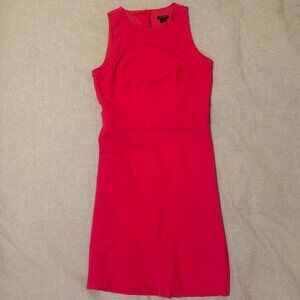 Hot Pink Ann Taylor Sheath Dress